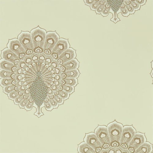Kalapi 216758